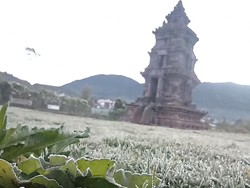 Dieng Membeku Lagi, Embun Es Menerpa Candi Arjuna