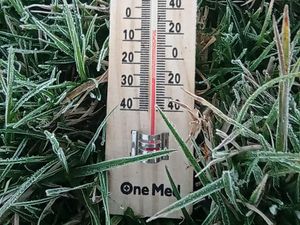 Dieng Membeku Pagi Tadi, Suhu Udara Sampai -1,77 Derajat Celsius