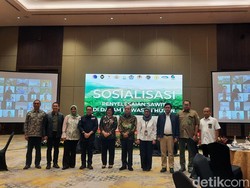 KLHK Minta Pelaku Usaha Kebun Sawit Urus Perizinan Sesuai UU Ciptaker
