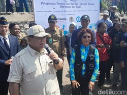 Kode Prabowo ke Susi Pudjiastuti