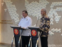 Airlangga Ungkap Nasib 58 PSN Jokowi yang Belum Digarap, Bakal Dihapus?