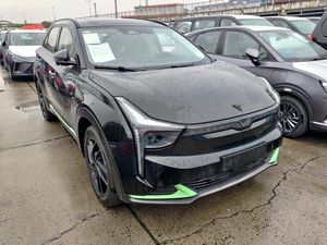 Mau Masuk Pasar Indonesia, Neta Jelaskan Filosofi Logo dan Nama Mereknya