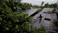 Sedih! PLTS di Ternate Rusak, Solar Panel Dimakan Ranting Pohon
