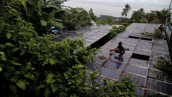 Sedih! PLTS di Ternate Rusak, Solar Panel Dimakan Ranting Pohon