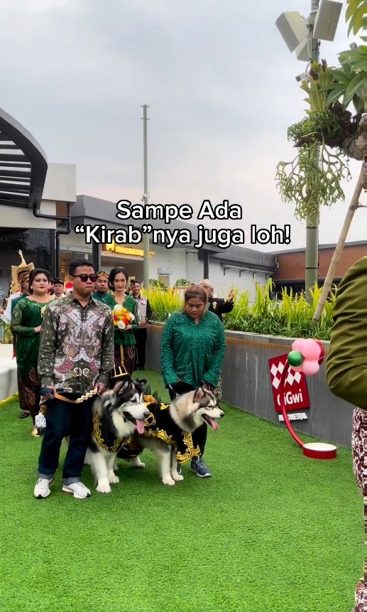 Sepasang anjing viral di media sosial karena baru saja menggelar acara pernikahan mewah mendadak jado sorotan.
