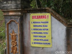 Dilarang Berpakaian Warna Hijau di Petilasan Mbah Jobeh, Ini Faktanya