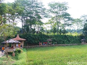 Butuh Ide Wisata Keluarga di Bekasi? Cobain Wisata Kampoeng Kita Butuh Ide Wisata Keluarga di Bekasi? Cobain Wisata Kampoeng Kita