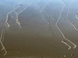 Misteri Batu yang Bisa Jalan Sendiri Akhirnya Terpecahkan