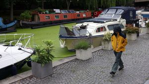 Cuaca Panas Bikin Kanal di London Berubah Hijau
