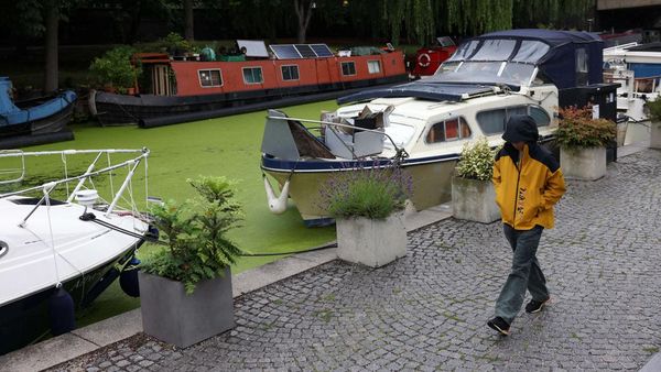 Cuaca Panas Bikin Kanal di London Berubah Hijau