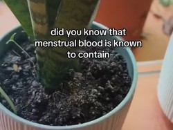 Duh! Wanita Ini Siram Tanaman Pakai Darah Menstruasi