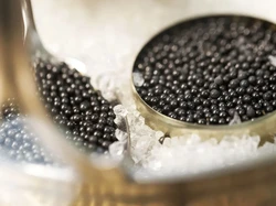 Hari Kaviar, 5 Fakta Menarik Kaviar yang Dulu Dijual Murah