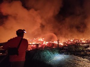 Kebakaran Kandang Mojokerto Panggang 18 Ribu Ayam, Kerugian Rp 600 Juta Kebakaran Kandang Mojokerto Panggang 18 Ribu Ayam, Kerugian Rp 600 Juta