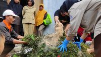 Mahasiswa IPB Kenalkan Teknologi Pengolahan Pakan Silase di Banjarnegara