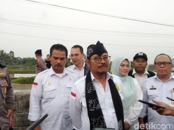 Mentan Pastikan Beras Aman buat Hadapi El Nino, 800.000 Ha Siap Panen