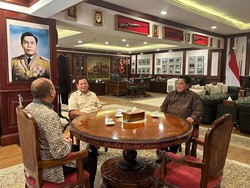 Rosan Ikut Nimbrung Pertemuan Erick dan Prabowo, Ini yang Dibahas