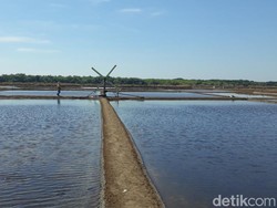 Produksi Garam di Kota Pasuruan Terus Anjlok Dampak Cuaca Ekstrem