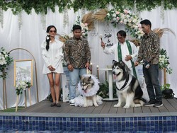 Pesta Pernikahan Anjing Dikecam, Rupanya Jadi Indikator Masalah Lebih Serius