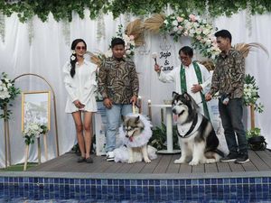 Pesta Pernikahan Anjing Dikecam, Rupanya Jadi Indikator Masalah Lebih Serius Pesta Pernikahan Anjing Dikecam, Rupanya Jadi Indikator Masalah Lebih Serius