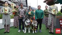 10 Foto Pernikahan Anjing Viral Habiskan Rp 200 Juta, Digelar Pakai Adat Jawa