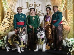 Viral Gelar Pernikahan Anjing, Tim Stafsus Jokowi Ini Juga Pembaca Tarot