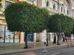 Menariknya Tradisi Tutup Toko Warga Tunisia di Hari Minggu