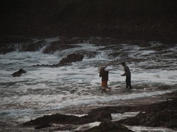 Jelang Malam 1 Suro, Warga Wonogiri Larung Kepala Sapi di Pantai Sembukan