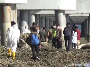 3 Hiu Tutul Mati Terdampar di Bangkalan, FKH Unair Temukan Hal Mengejutkan! 3 Hiu Tutul Mati Terdampar di Bangkalan, FKH Unair Temukan Hal Mengejutkan!