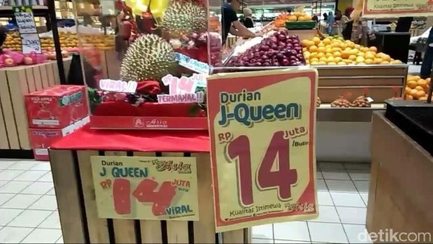Durian J-Queen/Foto: detikFood Durian J-Queen merupakan durian termahal.