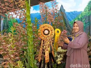 Ribuan Anggrek Adu Kecantikan di Pasuruan Orchids Festival 2023 Ribuan Anggrek Adu Kecantikan di Pasuruan Orchids Festival 2023
