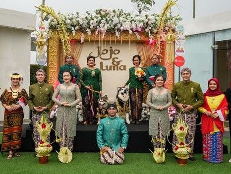 Pernikahan mewah dua anjing yang pakai baju adat Jawa