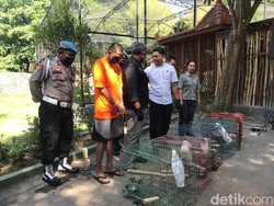 Penjual Satwa Dilindungi Diciduk Polisi, Raup Cuan Rp 30 Juta