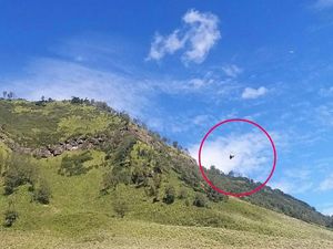 Wisatawan Bromo Potret UFO di Atas Bukit Teletubbies Wisatawan Bromo Potret UFO di Atas Bukit Teletubbies