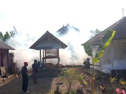 Januari hingga Juni 2023, DBD di Gianyar Capai 688 Kasus-1 Meninggal