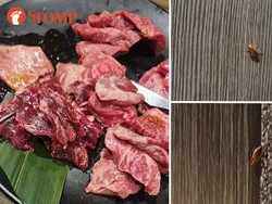 Jijik! Ada Kecoa Berkeliaran di Atas Meja Restoran Yakiniku