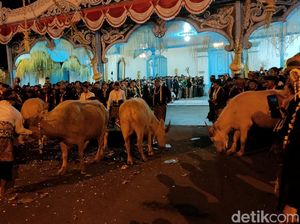 Catat Rute Kirab Malam 1 Suro Keraton Solo dan Puro Mangkunegaran Catat Rute Kirab Malam 1 Suro Keraton Solo dan Puro Mangkunegaran