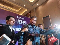 Airlangga Pede RI Bakal Jadi Anggota OECD, Susul Jepang dan Korsel