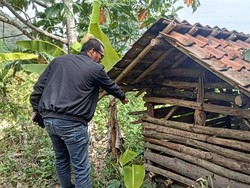 Belasan Kambing Warga Palabuhanratu Hilang Dicuri, Polisi Turun Tangan