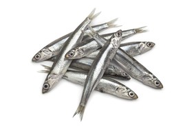 Ternyata Sering Makan Teri Bisa Kurangi Risiko Penyakit Mematikan