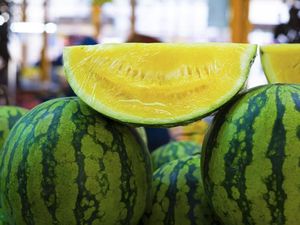 9 Manfaat Semangka Kuning bagi Kesehatan, Apa Saja?