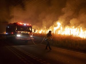 Kebakaran Hutan di Pulau Rhodes, Ribuan Orang Dievakuasi