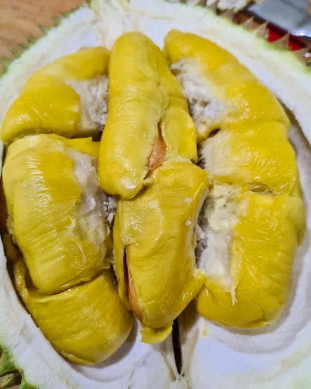 Durian Musang King/Foto: Instagram.com/kang.duren Durian musang king termasuk durian termahal.