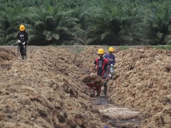 Emiten Sawit Bos Maktour Operasikan Pabrik Pupuk, Bisa Produksi 5 Ton/Jam