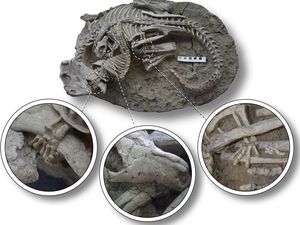 Fakta Baru: Ada Era Saat Dinosaurus Jadi Sasaran Santap Mamalia Kecil Fakta Baru: Ada Era Saat Dinosaurus Jadi Sasaran Santap Mamalia Kecil