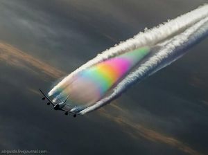 Berbagai Kisah Sedih dan Haru Mereka di Dunia Pesawat