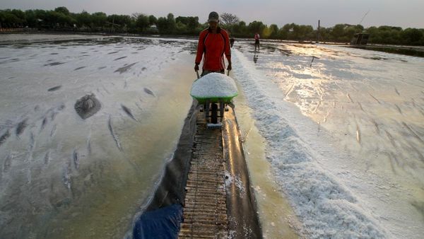 Cuaca Tak Menentu, Bikin Kualitas Garam di Sidoarjo Turun