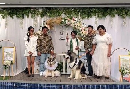 Pernikahan Jojo dan Luna