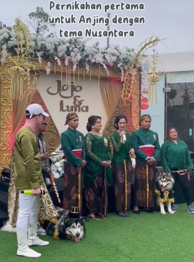 Pernikahan Jojo dan Luna/tiktok.com/levoit_indonesia Pernikahan Jojo dan Luna