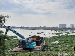 Sudah 2.600 Meter Kubik Eceng Gondong Diangkut, Begini Kondisi Waduk Pluit