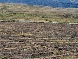 Cuaca Dingin Ekstrem di Puncak Papua Tengah, 7.000 Warga Terancam Kelaparan